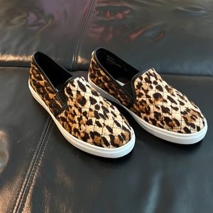 Steve Madden leopard slides